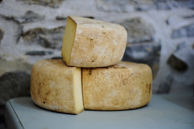 Fontina Cheese – A Comprehensive Guide